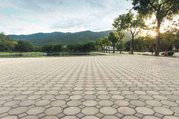 Best Professional Driveway Pavers  in Frisco, TX
