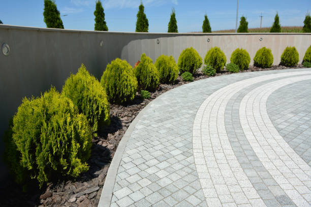 Best Commercial Driveway Pavers  in Frisco, TX